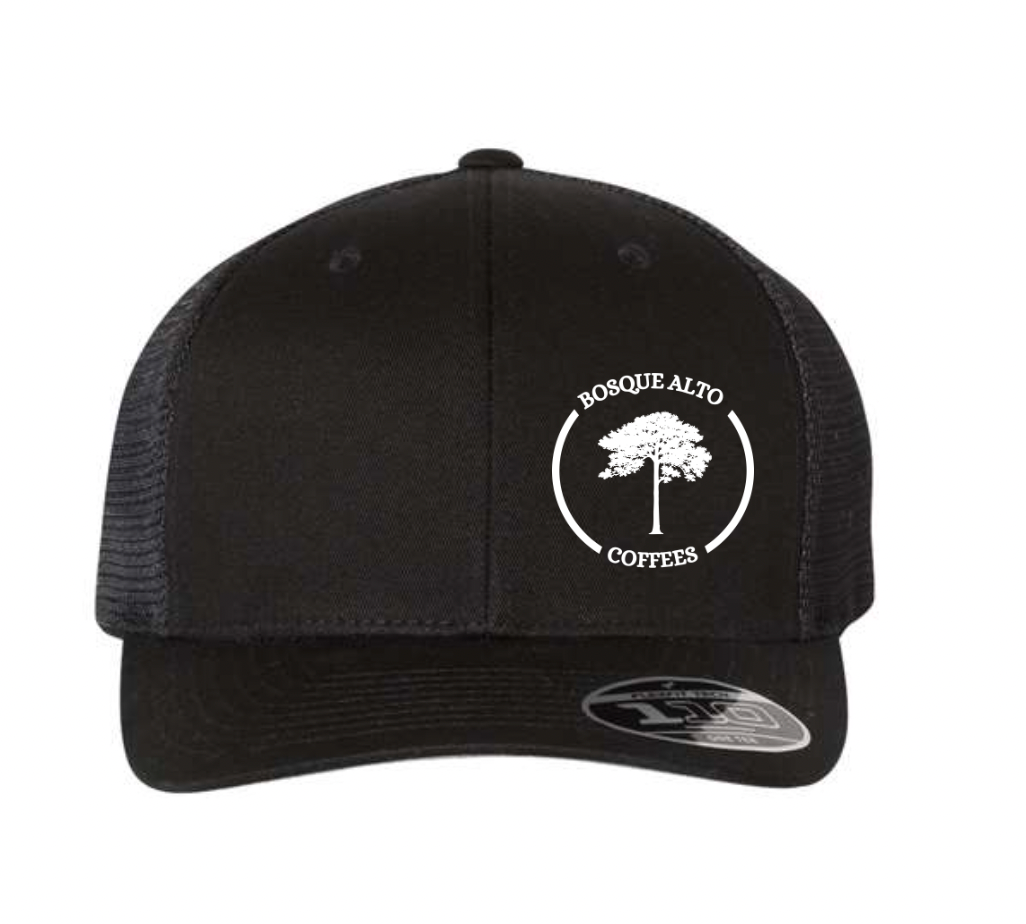 Mesh-Back Cap