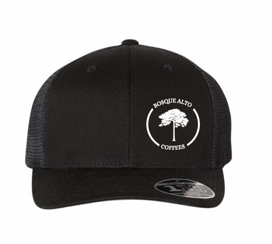 Mesh-Back Cap
